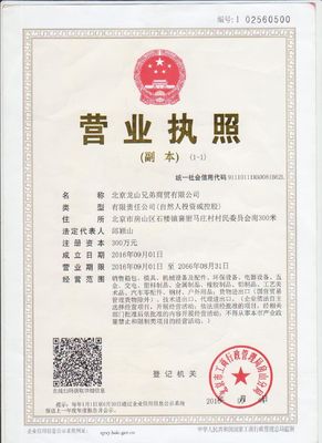 Высокоалюминиевая литая форма для игрушек P20/718/738/NAK80/S136/2738/2316 Материал формы и широко используется в производстве