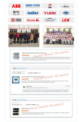 Специальные формованные на впрыск детали в основе формы JLS для процесса формования на впрыск