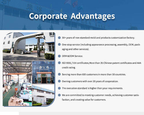 Профессиональные пользовательские дверные аксессуары впрыска формы гладкая поверхность точный размер для внутренних внешних частей дверей